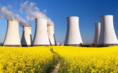Şirketler, Nükleer Enerji Hedefini 3 Katına Çıkardı